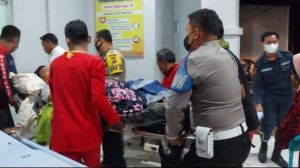 Sarmani Luka Parah Terinjak Kawanan Gajah