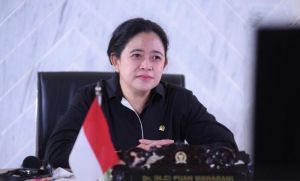 Negara Penghasil Sawit Tapi Harga Minyak Goreng Tinggi