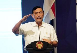 Menko Luhut Geram, Perintahkan PLN Batu Bara Dibubarkan