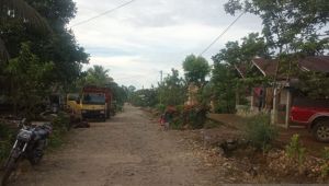 Kisah Persahabatan Warga Kampung Situak dengan Harimau Cindaku Kerinci