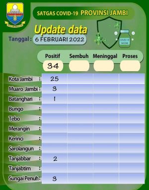 Covid-19 Kian Meningkat, Bertambah 30 Kasus, Kota Jambi Mendominasi