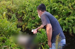 Pegawai RSUD Murjani Ditemukan Tak Bernyawa Dalam Parit