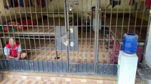 65 Saksi Diperiksa Dalami Dugaan Perbudakan di Kerangkeng Rumah Bekas Bupati Langkat