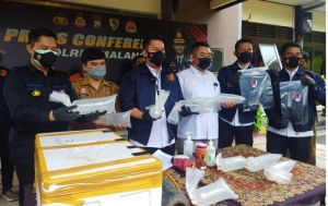 Gagalkan Aksi Residivis, Polisi Amankan 2.500 Baby Lobster