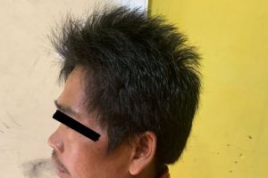 Pembunuh Warga Bengkulu Terbungkus Karung di Jangkat Diringkus