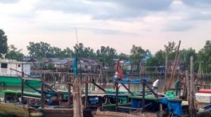 Melirik Potensi Sumber Daya Perikanan Provinsi Jambi