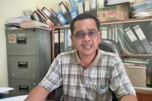 Program Peremajaan Kelapa Sawit Terkendala Administrasi