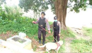 Anjing Pelacak Dikerahkan Sisir Pulau Pandan dan Danau Sipin