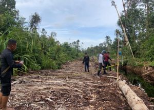 Polda Jambi Ungkap Kasus Illegal Logging Perbatasan Jambi-Palembang
