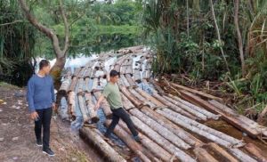 Illegal Logging, Polisi Amankan Belasan Kubik Kayu Siap Jual