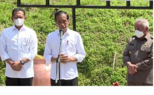Presiden: Penyatuan Tanah dan Air di Nusantara Bentuk Kebinekaan