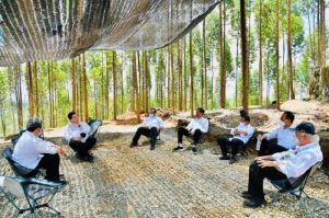 Presiden Perkirakan Pembangunan IKN Nusantara Selesai 15-20 Tahun