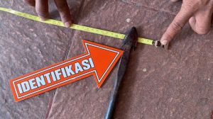 Bentuk Tombak yang Digunakan TH Untuk Tusuk Kanit Resmob Polda Jambi
