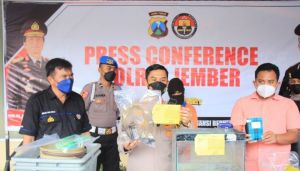 Polisi Gagalkan Penjualan 1.300 Benih Lobster Ilegal