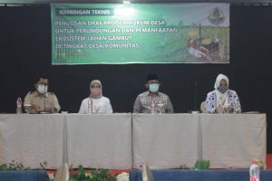 Sekda: Pemprov Jambi Serius Tangani Ekosistem Gambut
