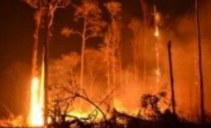 Pemetaan Bencana Karhutla di Riau Sudah Berstandar Nasional Indonesia