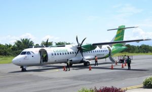 UE Dukung Indonesia Terapkan Penerbangan Ramah Lingkungan