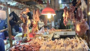 Harga Cabai Rawit Kembali Naik Jadi Rp40.000 Per Kilogram