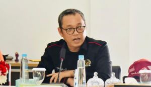 Anggota DPR Kritisi Penunjukan Luhut Untuk Urus Minyak Goreng