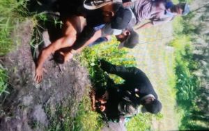 Petani Tertembak Saat Panen Sawit