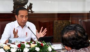 Presiden RI Undang Penjabat Kepala Daerah ke Istana