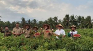Nilai Transaksi Cabai di Pasar Lelang Capai Rp6,97 Miliar