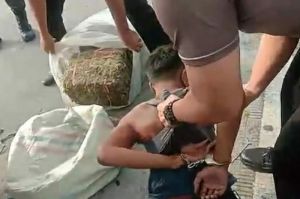 Dua Laki-Laki Pengedar Ganja Diringkus Polisi