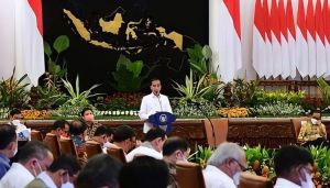 Presiden: Hasil Pemanfaatan Anggaran Ketahanan Pangan Harus Konkret