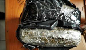 Bea Cukai Bandung Gagalkan Pengiriman Ganja 1,6 Kilogram