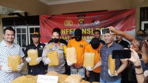 Ciduk Dua Bandar, Polisi Sita Amankan 45, 7 Kg Ganja