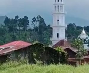 Dua Harimau Berkeliaran Resahkan Warga Kerinci