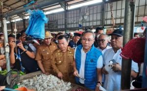 Mendag Bicara Soal Harga Sawit Saat Kunjungan ke Jambi, Begini Katanya