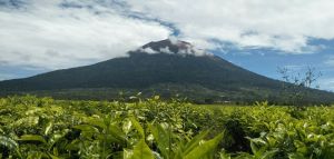 Jelang Hari Kemerdekaan, Gunung Kerinci Over Kapasitas Pendaki
