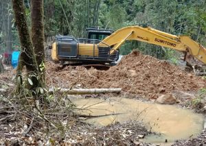 Belasan Alat Berat PETI Garap TNKS 