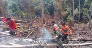 Siaga Karhutla, 31 Hektare Lahan di Tebo Terbakar