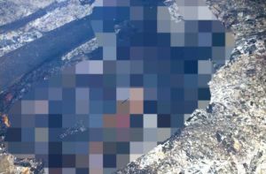 Tertimpa Pohon Terbakar, Warga Mersam Tewas Terpanggang