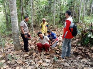 Oknum Guru Ngaji Terduga Predator Anak di Tebo Diciduk