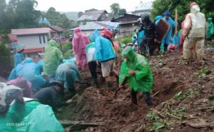 Lima Desa di Kayu Aro Rawan Longsor