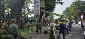 Dana Rp300 Juta Untuk Bongkar Reklame Tak Berizin di Kota Jambi