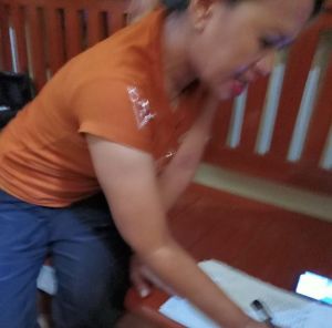 Tipu Polisi dengan Modus Rental Mobil, Erlina Ditangkap