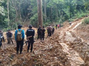 Diduga Bocor, Operasi PETI di Muara Emat Hanya Berhasil Tangkap 4 Penambang