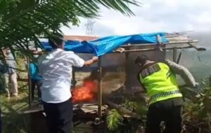 Pondok Sawah Diduga Tempat Konsumsi Narkoba di Pulau Kayu Aro Dimusnahkan