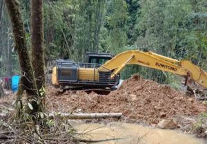 Kian Meluas, Areal PETI di Provinsi Jambi Capai 45.896 Hektar