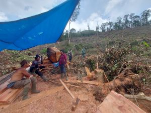 Empat Pelaku Illegal Logging di TNKS Terciduk Saat Patroli Petugas