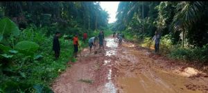 Akses Pengubung Tiga Desa di Sekernan Rusak Parah