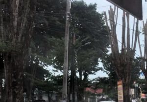 Rusak Keindahan, Dewan Kota Jambi Soroti Kabel Optik yang Semerawut