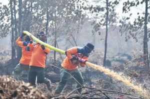 Meningkat di Puncak Kemarau, Ratusan Titik Panas Terpantau