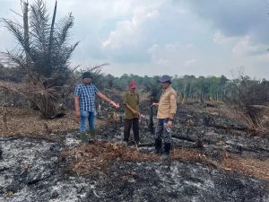Bakar Lahan Sawitnya Sendiri, Mastur Jadi Tersangka Karhutla