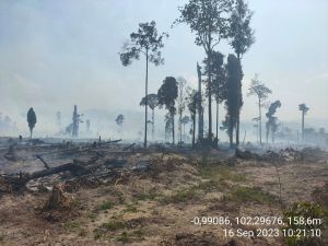 Polisi Selidiki Kebakaran Lahan di Area Konsesi PT ABT