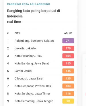 Jambi Jadi Daerah Kelima dengan Kualitas Udara Tak Sehat di Indonesia